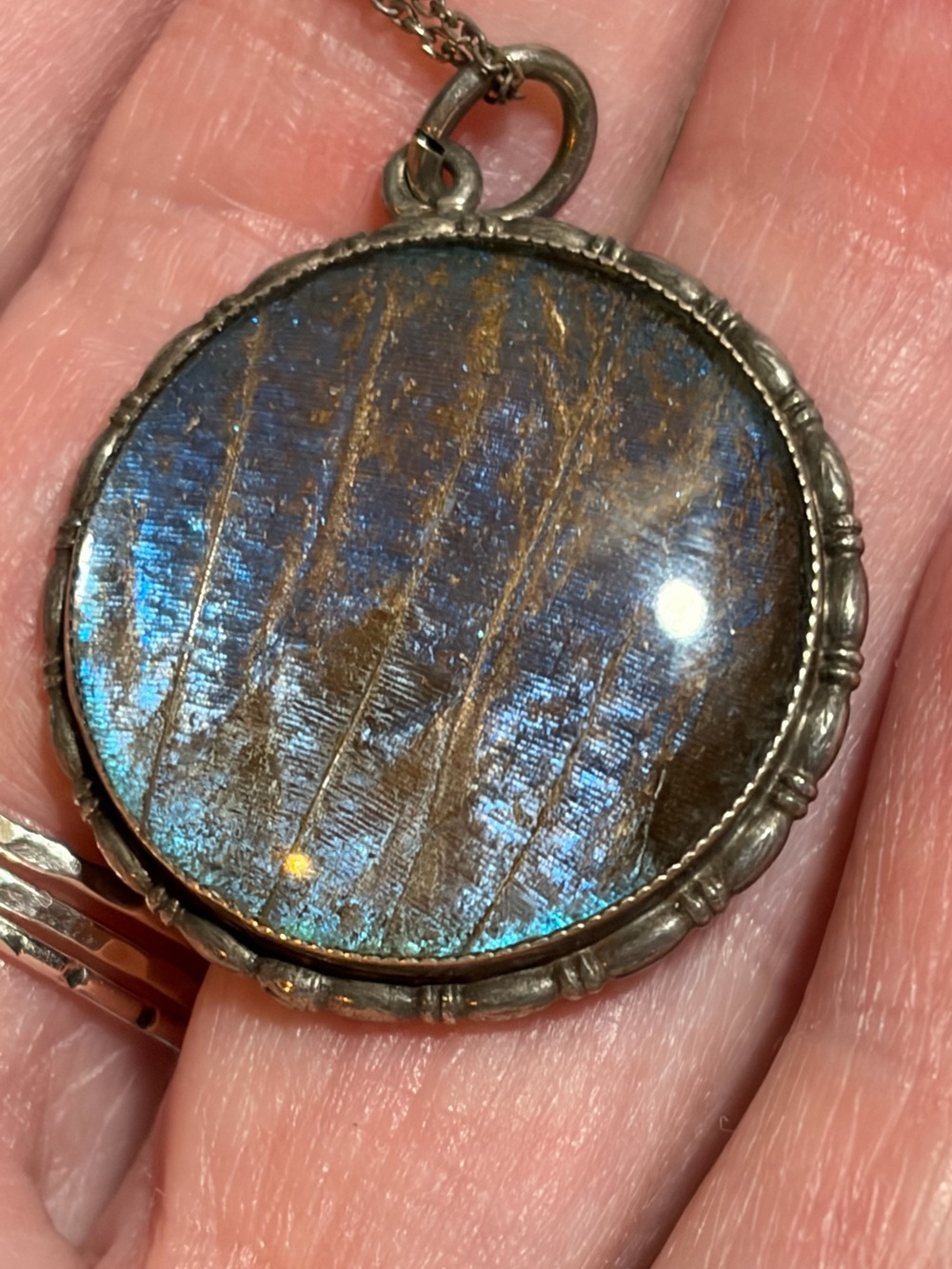 Antique Sterling Silver Morpho Butterfly Wing Round Pendant Necklace - Picture 6 of 10